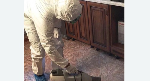 Уничтожение тараканов в квартире. Москва